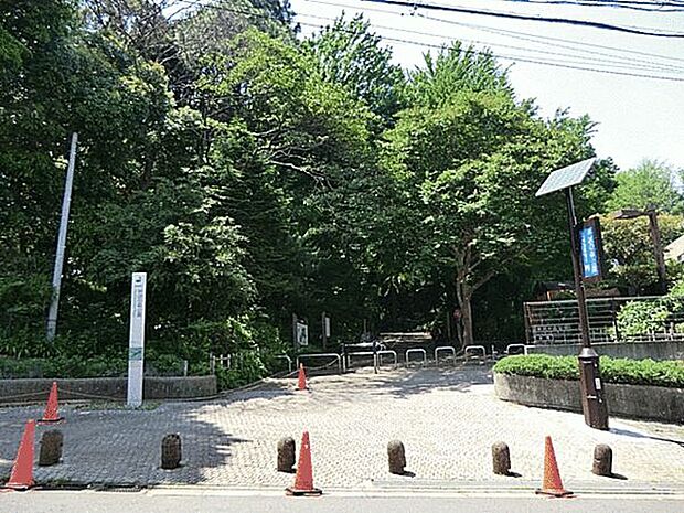 林試の森公園(約476m)
