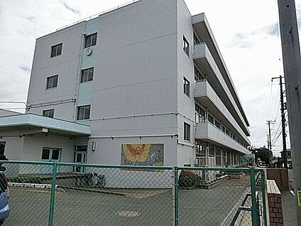 鎌ケ谷市立五本松小学校 539m