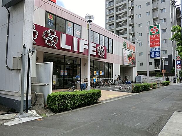ライフ亀戸店（約569m）