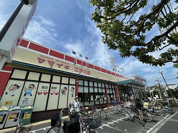 ヤマイチ江戸川店（約284m）