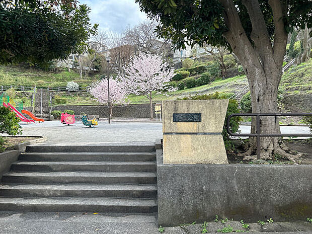 荒立公園(約505m)