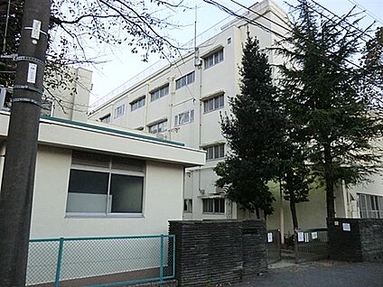 横浜市立常盤台小学校 199m