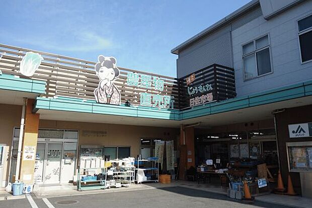 JA福岡市博多じょうもんさん曰佐市場(約1,582m)