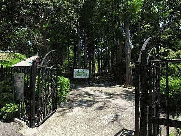 横浜市こども植物園(約738m)