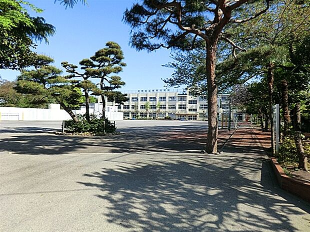 中野区立緑野小学校(約499m)