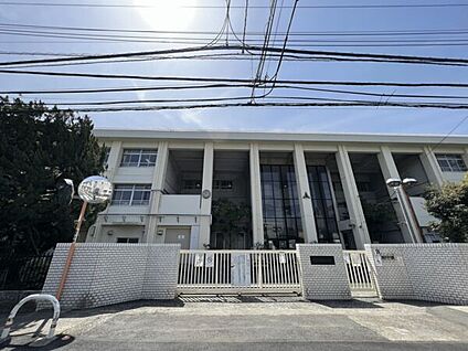 川崎市立新城小学校 312m