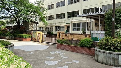中野区立塔山小学校 643m