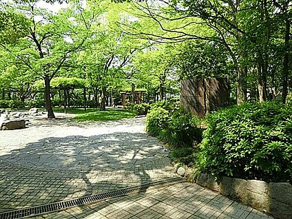 中央森林公園 87m