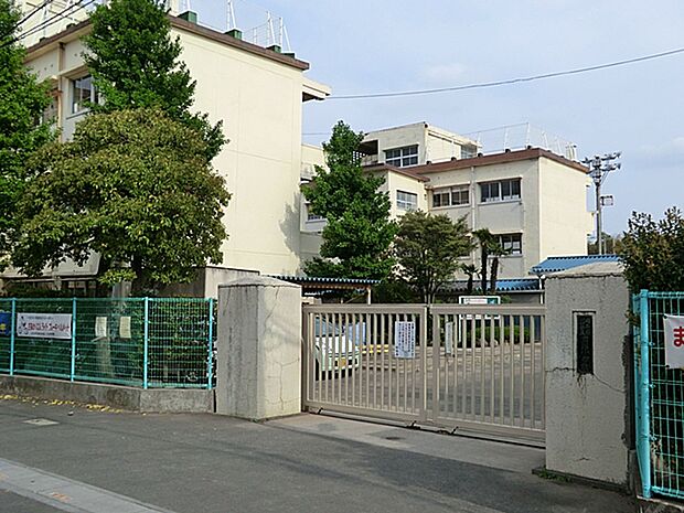 川口市立前川小学校(約918m)