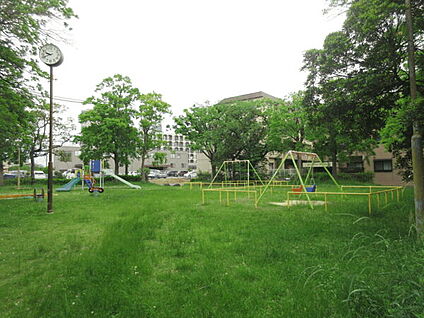 町田公園 202m