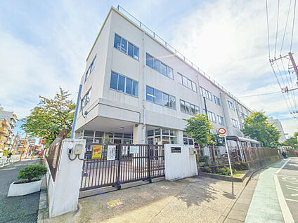 墨田区立立花吾嬬の森小学校 575m