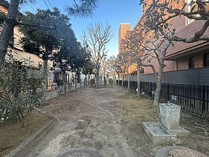 新中宿児童公園 465m