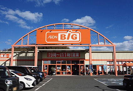 ザ・ビッグ 土井店 814m