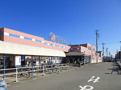 カネスエ西春店 1202m