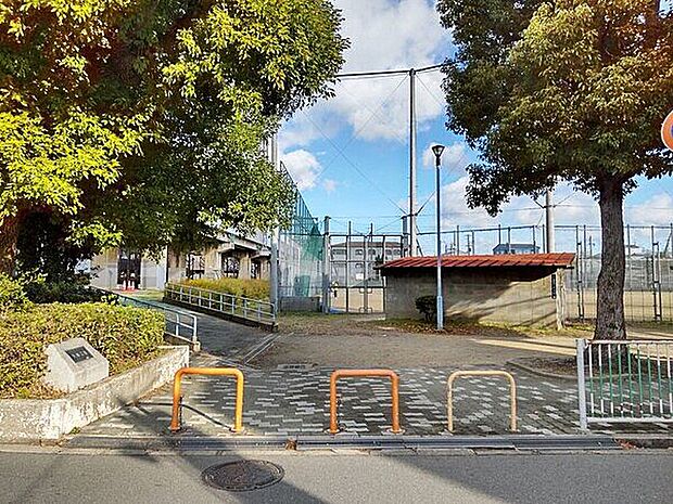 大阪市立矢田中学校(約609m)