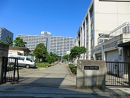 川崎市立日吉小学校 267m