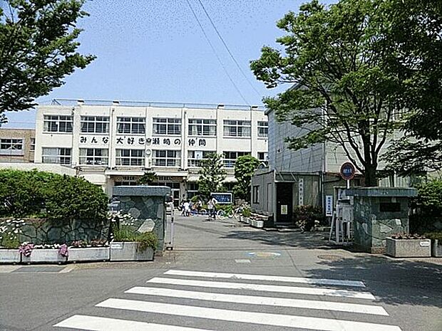 草加市立瀬崎小学校(約466m)