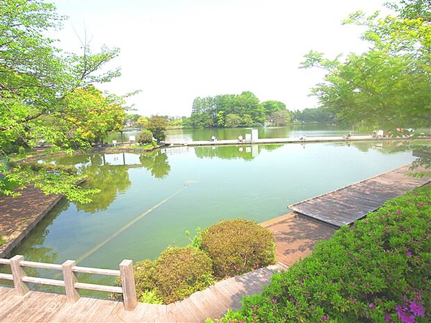 等々力緑地（約159m）