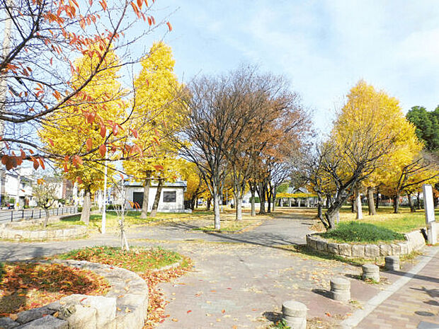 姫島公園(約582m)