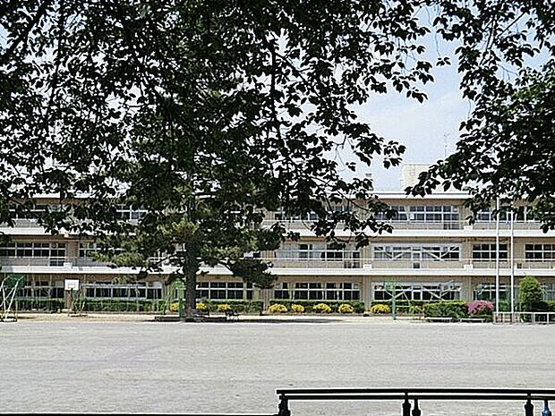 さいたま市立大砂土東小学校（約604m）