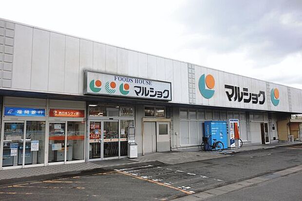 マルショク諸岡店(約1,162m)