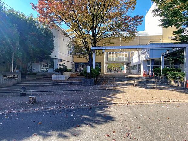 杉並区立杉並第十小学校（約782m）