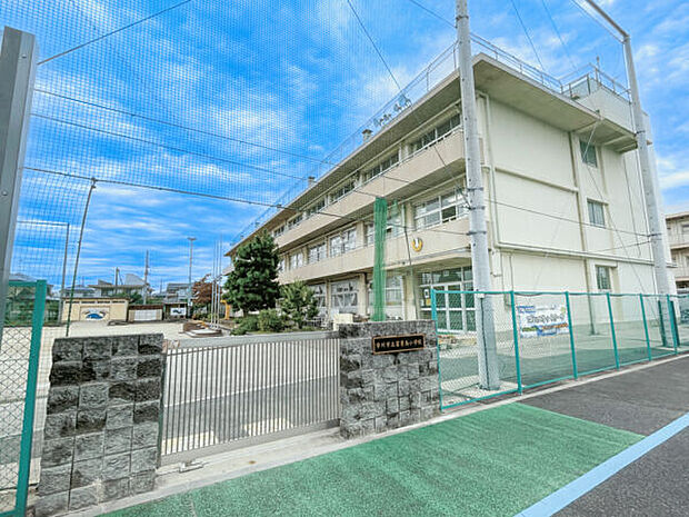 市川市立冨貴島小学校（約293m）