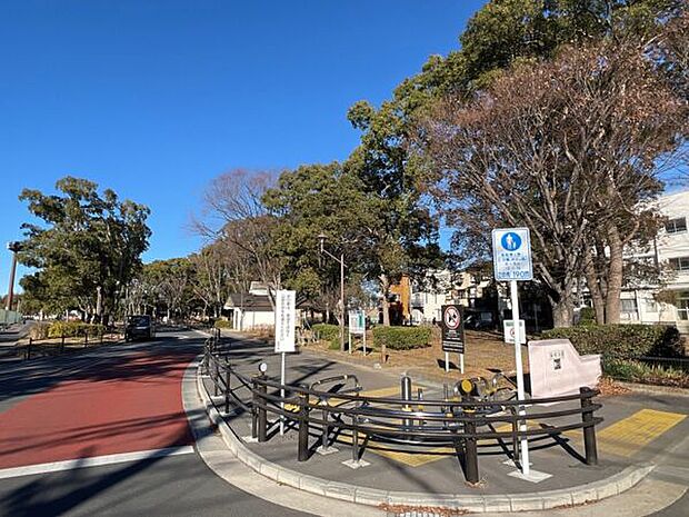 篠崎公園（約698m）