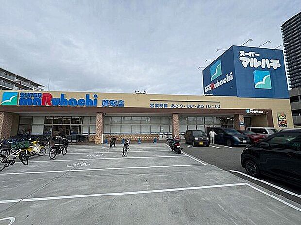 スーパーマルハチ 鷹取店（約969m）