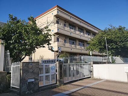 神戸市立湊小学校 631m