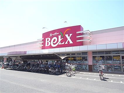 ベルクス墨田店 911m