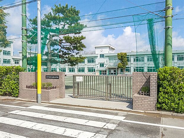 江戸川区立小岩第三中学校（約812m）