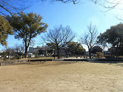 清水公園 306m
