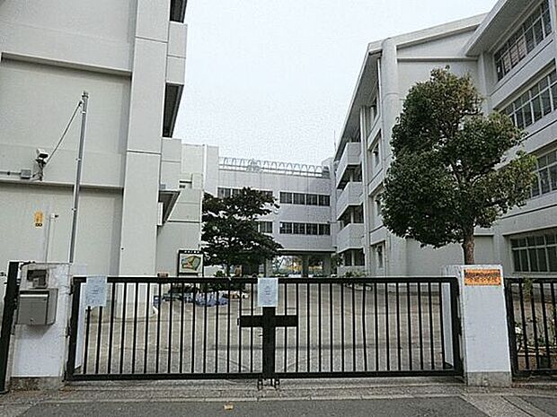 横浜市立小田小学校(約801m)