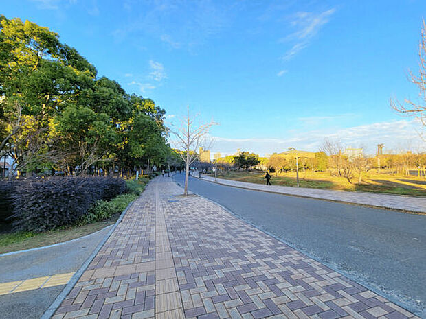 長居公園（約989m）