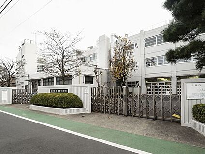 板橋区立赤塚小学校 953m