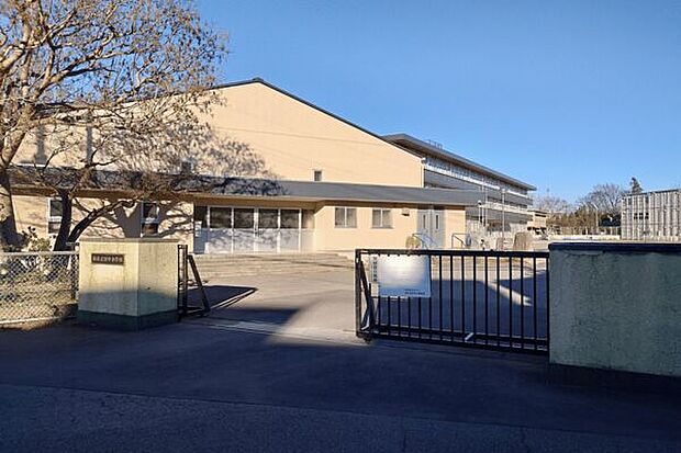 柏市立田中小学校(約770m)