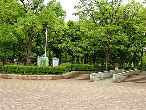 蕨市民公園（約329m）