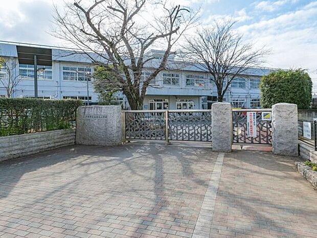 戸田市立美谷本小学校(約471m)