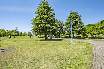 伊勢崎市みらい公園(いせさき市民のもり公園) 1493m