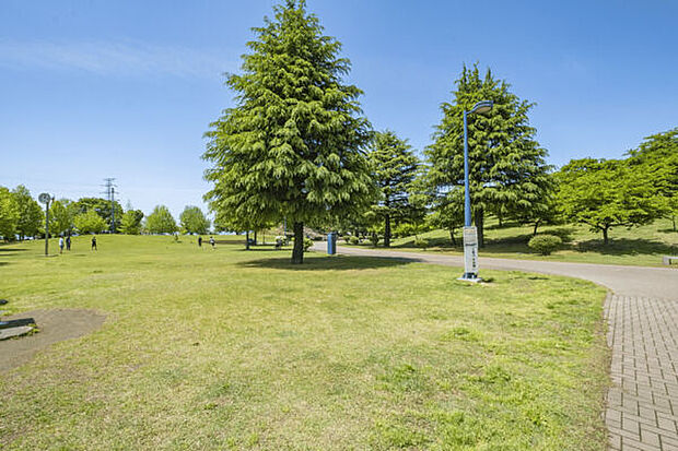 伊勢崎市みらい公園(いせさき市民のもり公園)(約1,493m)