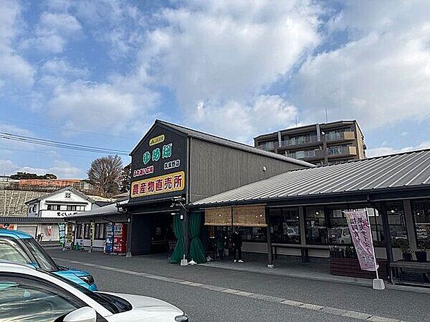 ゆめ畑 筑紫野店(約1,078m)