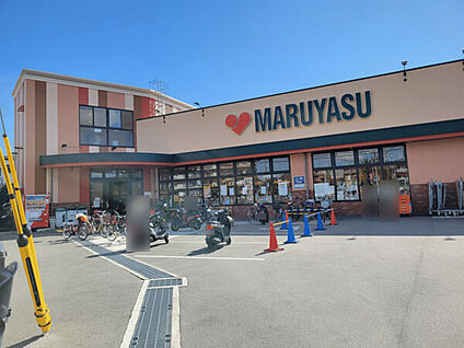 マルヤス西真上店 559m