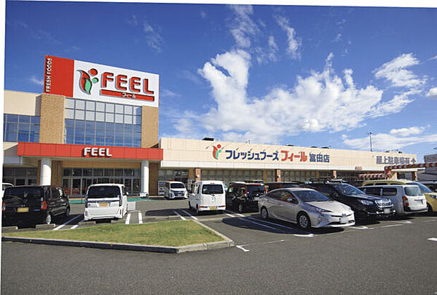 フィール富田店（約1,576m）