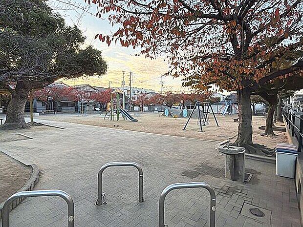 大和公園（約244m）