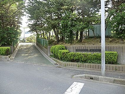 船橋市立宮本中学校 272m