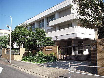 金城幼稚園 930m