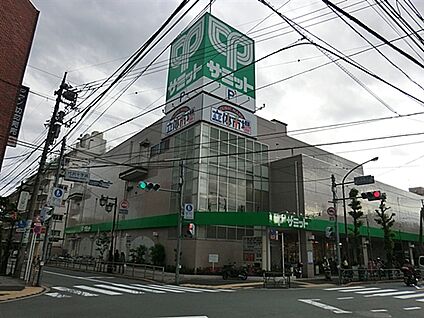 サミットストア代沢十字路店 650m