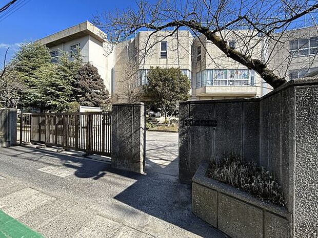 市川市立鬼高小学校(約729m)