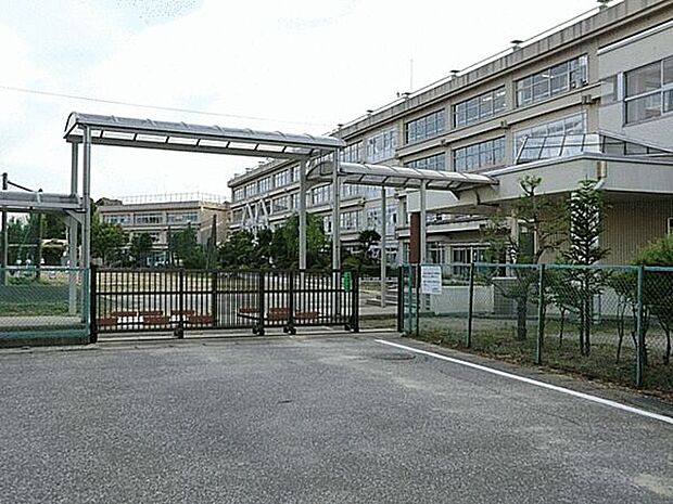柏市立柏第三中学校（約850m）
